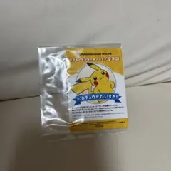 ポケモンセンターオンライン 会員証 ピカチュウ　B賞