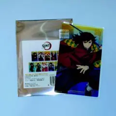 鬼滅の刃 冨岡義勇 トレーディングアクリルカード 無限城ver.