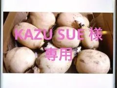 KAZU SUE 様専用