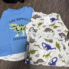 長袖 カットソー 恐竜 3枚セット 110サイズ 新品アリ