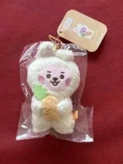 BTS BT21 Baby Rabbit たっとんぬいぐるみ Sサイズ RJ - メルカリ