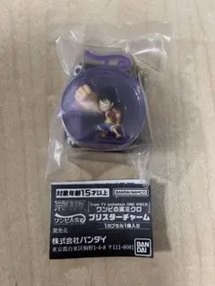 ワンピの実　ミクロ　ギア3