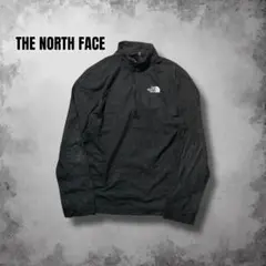 THE NORTH FACE ハーフジップ フリースプルオーバー USA規格