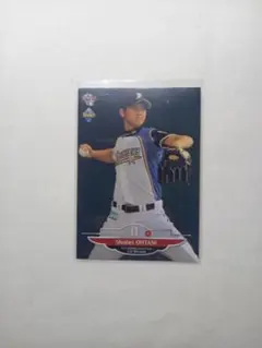 かなけい様　専用品