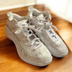 ASICS アシックス GELHOOP V17 バスケットボールシューズ