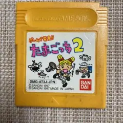 ゲームボーイ　ソフト