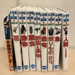 小学館の図鑑NEO、大自然のふしぎの全10冊セット