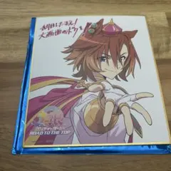 2025年最新】テイエムオペラオーの人気アイテム - メルカリ