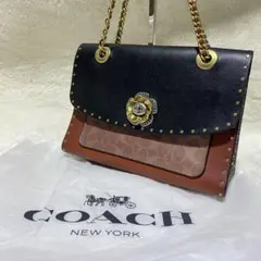 Item thumbnail for item 5f93e6dc-fd33-4bc0-9e28-9fc6ea3f789d