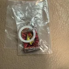 仮面ライダーめじるしキーホルダー　龍騎