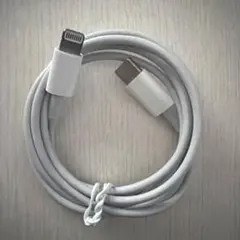 Lightningケーブル USB-C 正規品　iPad用