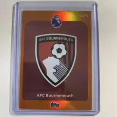 AFC Bournemouth Parallelカード /25