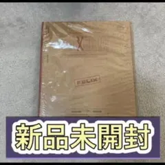 フィリックス　stray kids maxident