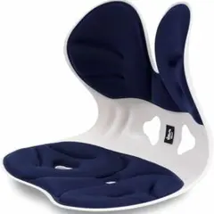 姿勢矯正椅子　バランスチェア 腰痛 椅子　骨盤矯正 猫背改善 椎間板ヘルニア予防