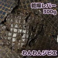 Item thumbnail for item cf604b88-7c54-49ea-aebd-8395102b46fc