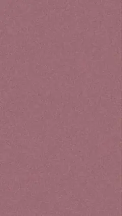 りんご（プロフ必読）様専用