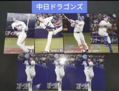 中日ドラゴンズ プロ野球チップスカードセット