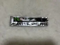 浦田俊輔 ジャイアンツ ボンフィン2025