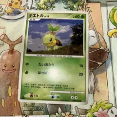ナエトル 拡張パック 時空の創造 ダイヤモンド＆パールコレクション