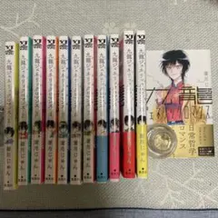 九龍ジェネリックロマンス 1~12巻 完結全巻セット - メルカリ