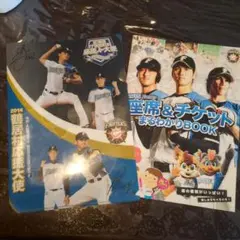 大谷翔平　ファイターズ2015年座席＆チケットまるわかりBOOK&クリアファイル