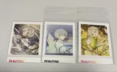白光糖衣 箔押し トリレボ前後 18TRIP ぱしゃこれ／vol.3 エイトリ