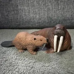 【レア】シュライヒ セイウチ ＆ サファリ ビーバー 動物フィギュア 2体セット