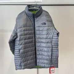 Item thumbnail for item 3f04c20c-45fa-496c-b799-90a7c43d04ac