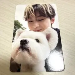 ゼベワン メテュ NEVER SAY NEVER レオ トレカ