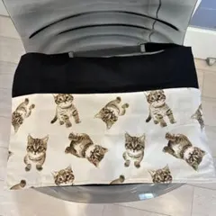 Item thumbnail for item 0516ae1b-54ee-4bbc-b6c4-60b69c7763f0