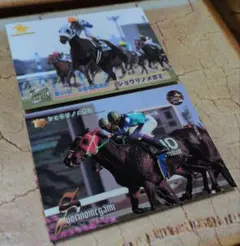 ショウリノメガミ 2枚セット トレーディングカード
