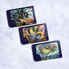 ポケモンフレンダ　ベストタッグ4弾　ジガルデ　レジギガス　ルチャブル　3枚セット