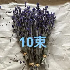 ラベンダー　富良野　ドライフラワー　北海道