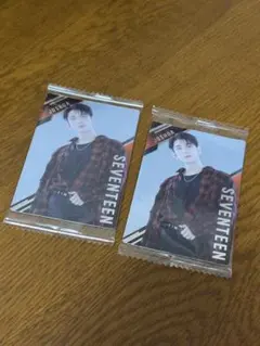 SEVENTEEN セブチ ジョシュア ウエハース 2枚セット