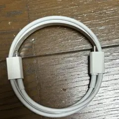 USB-C Lightning 充電ケーブル ホワイト