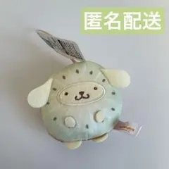 サンリオキャラクターズ　フルーツきぐるみマスコット　キウイ　ポムポムプリン