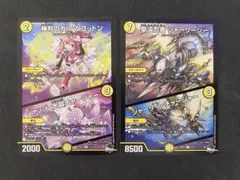 カルマコットン シャーリーシー 各1枚セット