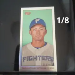 topps 206 北海道日本ハムファイターズ 水野達稀 8枚限定 パラレル