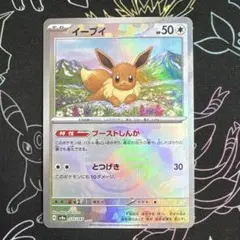 イーブイ　海外版 英語版　マスターボールミラー　海外限定 イーブイ マスターボールミラー 133/165 C｜ポケカシングル