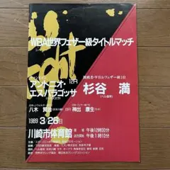 Item thumbnail for item d439f2c9-7108-4045-8f01-57e896372eb4