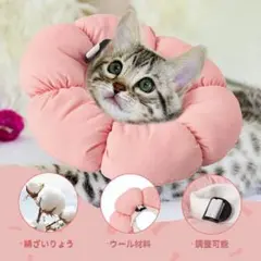 Item thumbnail for item 209bd355-06e0-4583-89ce-32205aad2bd2