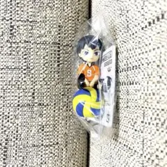 ハイキュー キャラクターグッズ