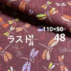 ★トンボ★カラフル★えんじ★セブンベリー★110×50 色違いあり