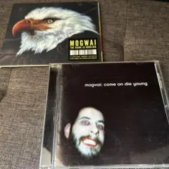 Mogwai セット