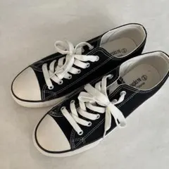 Item thumbnail for item 973ae1d4-4d99-451f-afbb-37591b04c25b