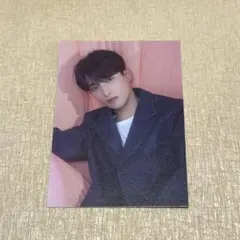 SEVENTEEN HYBE INSIGHT トレカ ドギョム