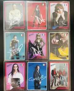 MANESKIN マネスキン　トレーディングカード　コンプリート　非売品　トレカ MANESKIN マネスキン トレーディングカード コンプリート 非売品