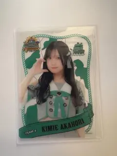 SKE48 17th Anniversary Festival トレカ 赤堀君江