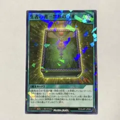 最強ジャンプ　1月号　付録　遊戯王