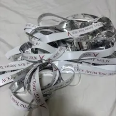 ACEes ArenaTour 2026 V 銀テ【希望本数】